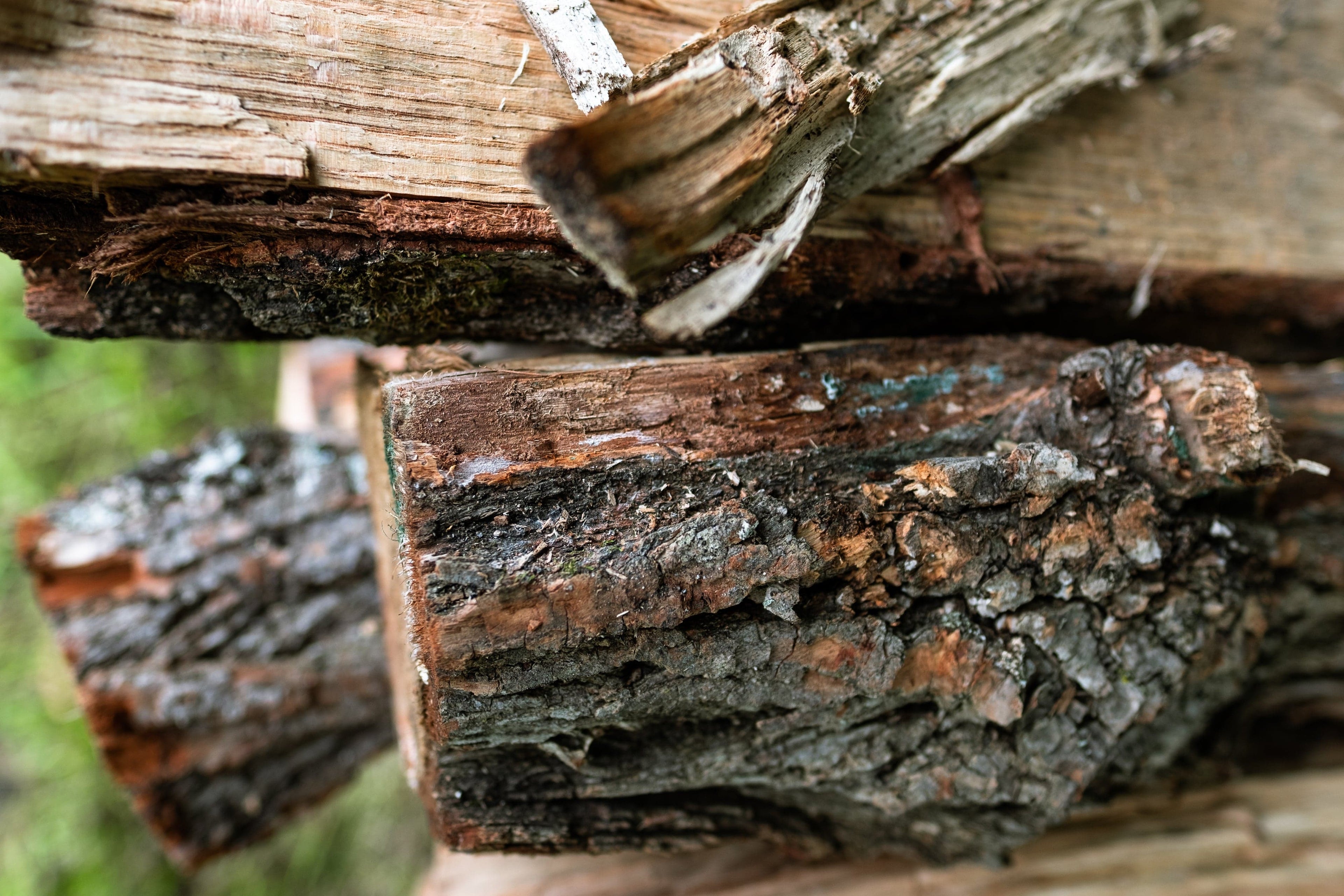 chopped-wood-pile-close-up - Chainsaws Repaires